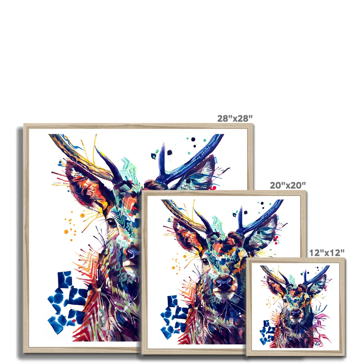 Thumbnail 11